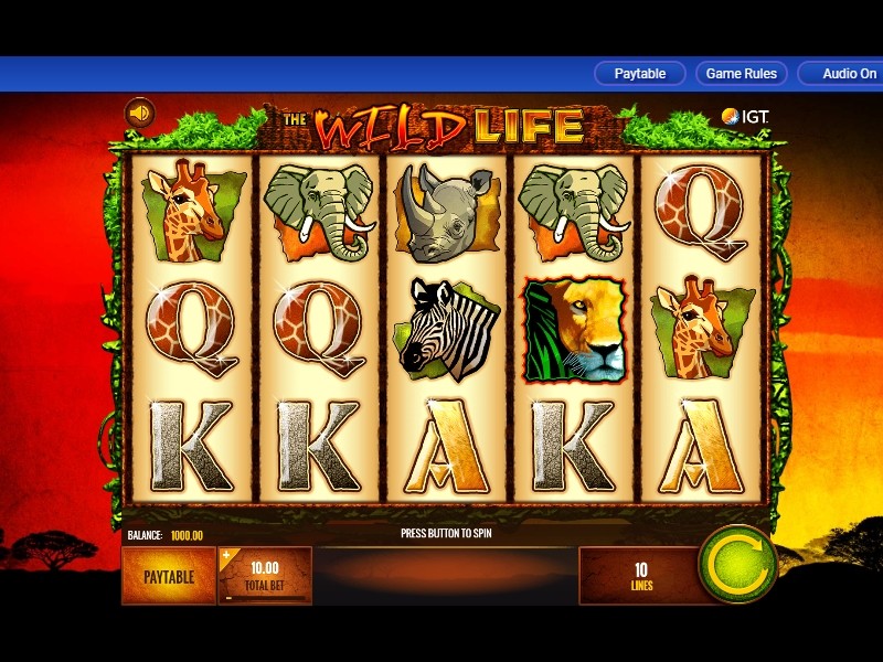 The Wild Life Slot Slot Online – Best Payout Casino Games in Canada by TopCasinoList